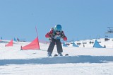 IMGB9515