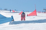 IMGB9524
