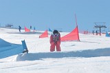 IMGB9525