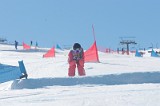 IMGB9526