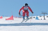 IMGB9530