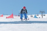 IMGB9587