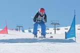 IMGB9588