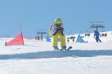 IMGB9616
