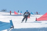 IMGB9637
