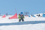 IMGB9656