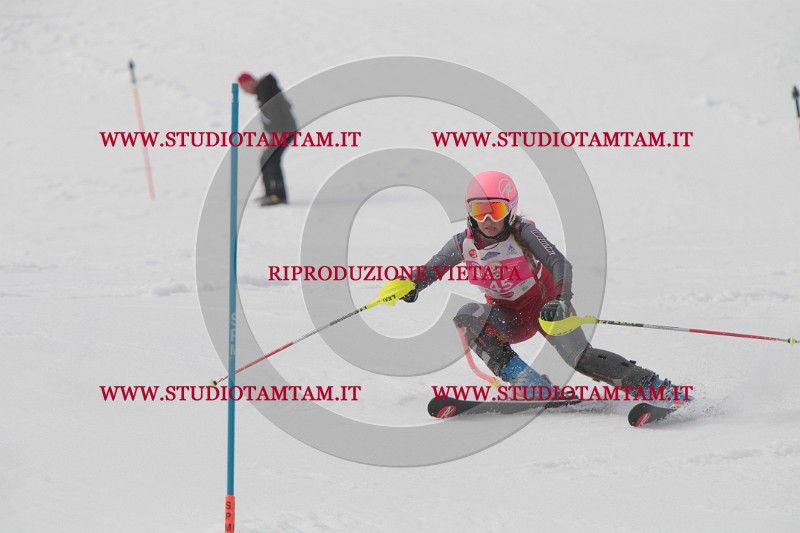 IMG_1782.JPG