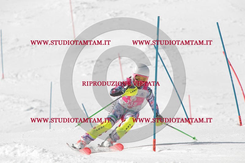 IMG_2686.JPG