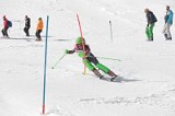 IMG_2811