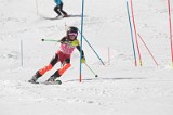 IMG_2858