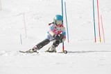 IMG_2041