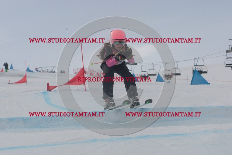 IMGB2143.JPG