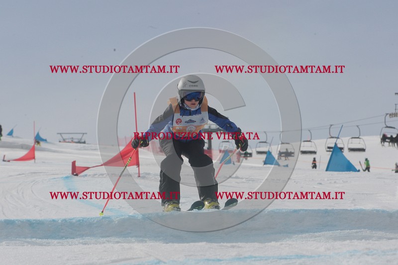 IMGB2235.JPG