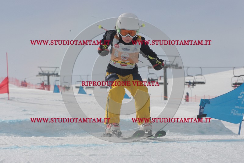 IMGB2263.JPG