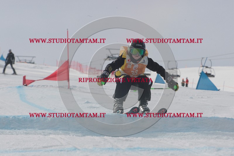 IMGB2384.JPG