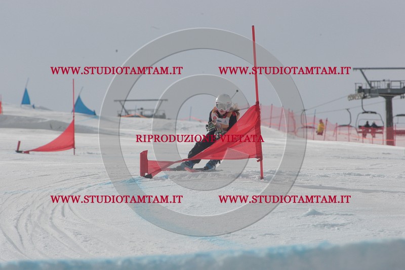 IMGB2392.JPG
