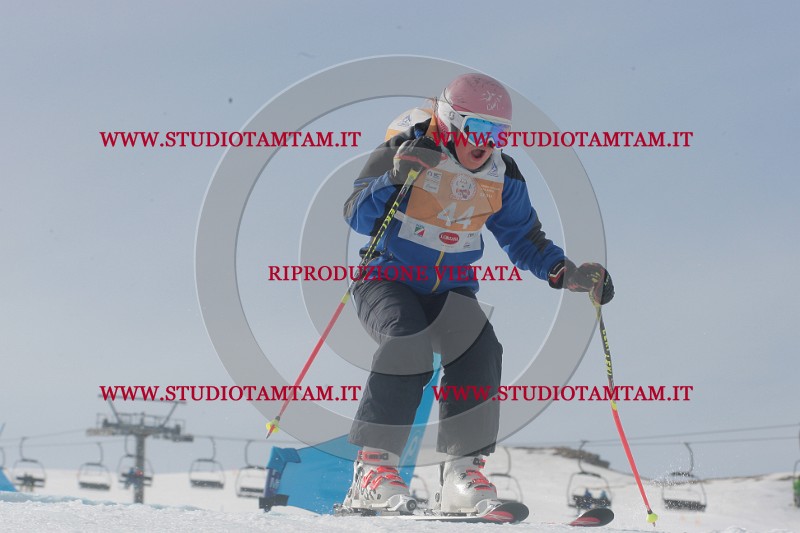 IMGB2482.JPG
