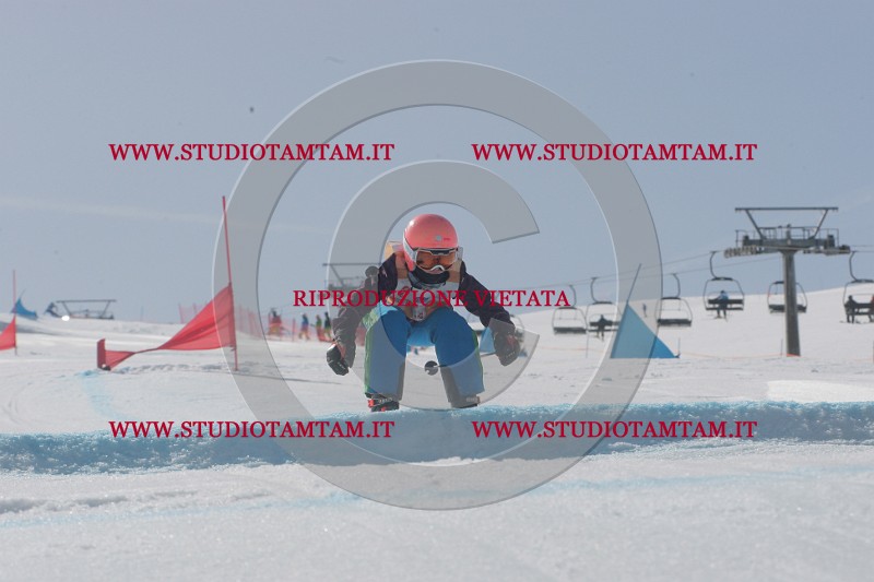 IMGB3320.JPG