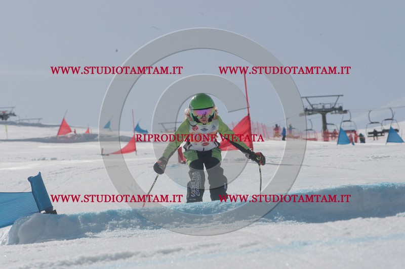 IMGB3441.JPG