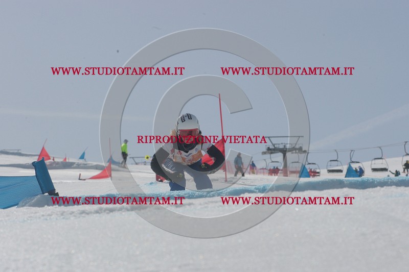IMGB3499.JPG