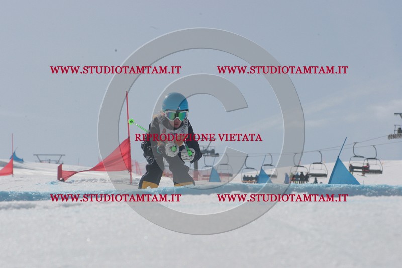 IMGB3553.JPG