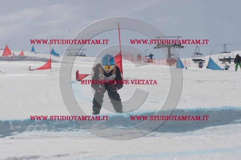 IMGB3787.JPG
