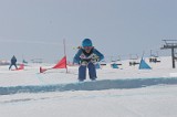 IMGB3339