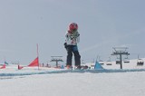 IMGB3537