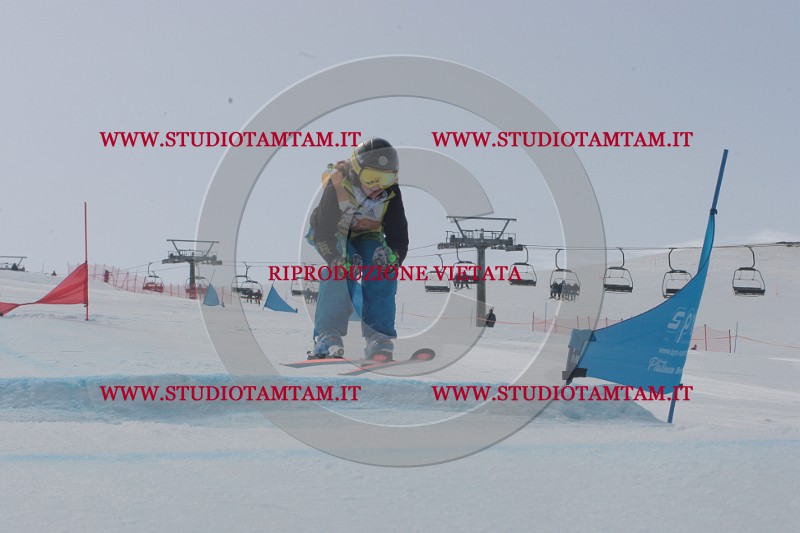 IMGB4292.JPG