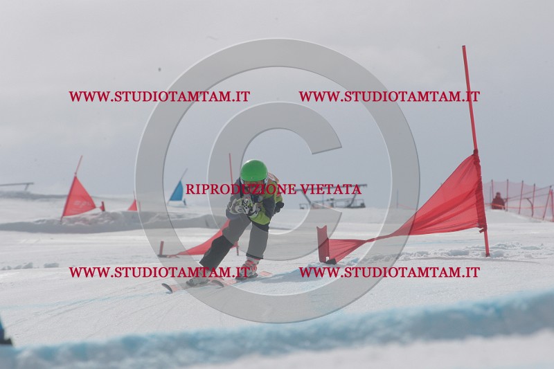 IMGB4778.JPG