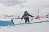 IMGB4448