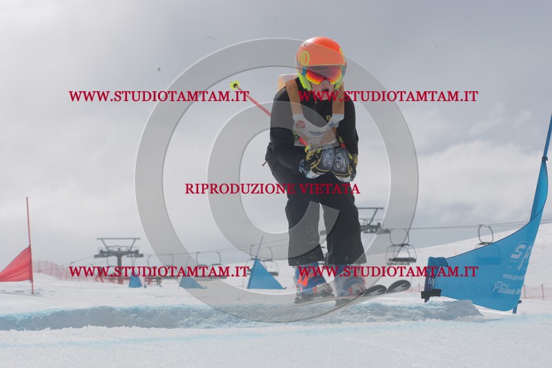 IMGB4990.JPG