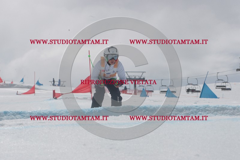 IMGB5018.JPG