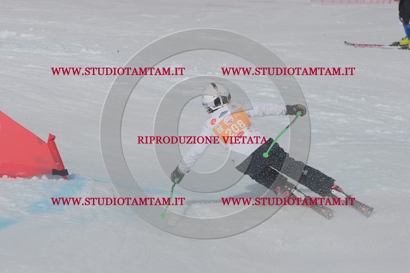 IMGB5022.JPG