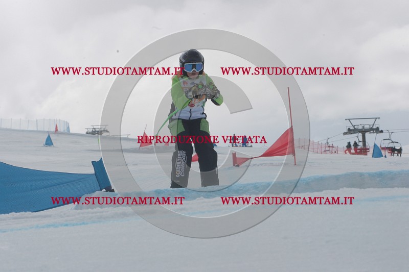 IMGB5079.JPG