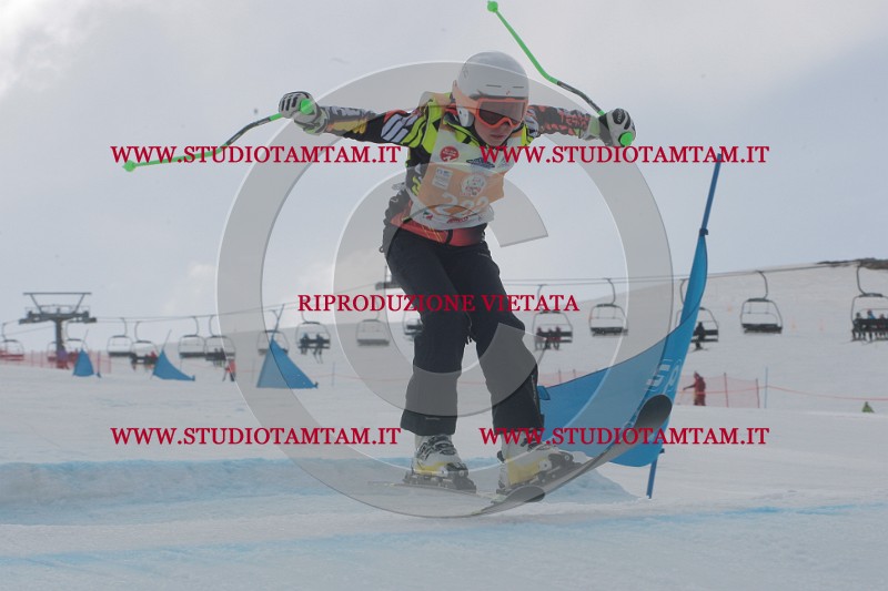 IMGB5221.JPG