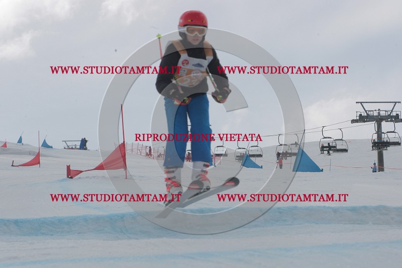 IMGB5238.JPG