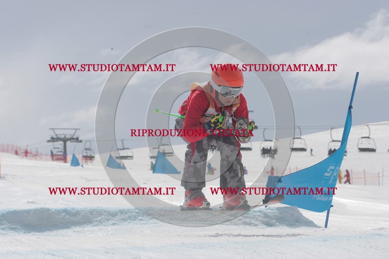 IMGB5296.JPG
