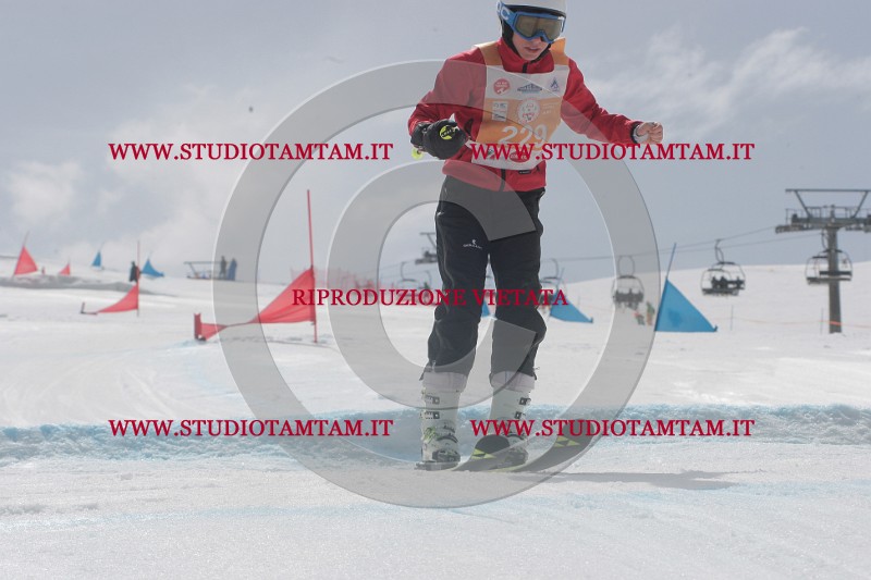 IMGB5321.JPG