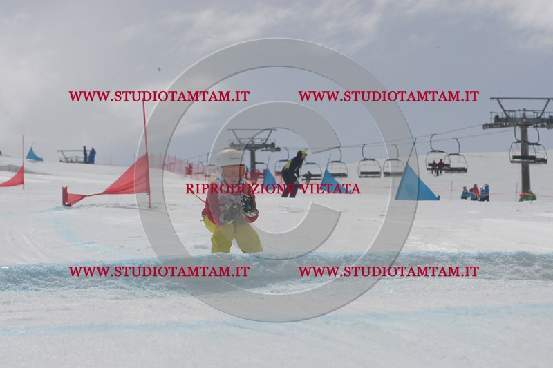 IMGB5347.JPG
