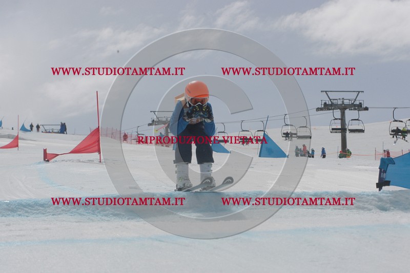 IMGB5365.JPG