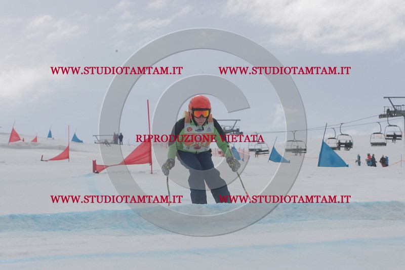 IMGB5397.JPG