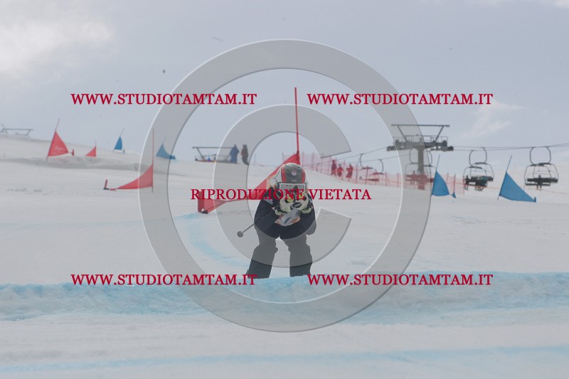 IMGB5411.JPG