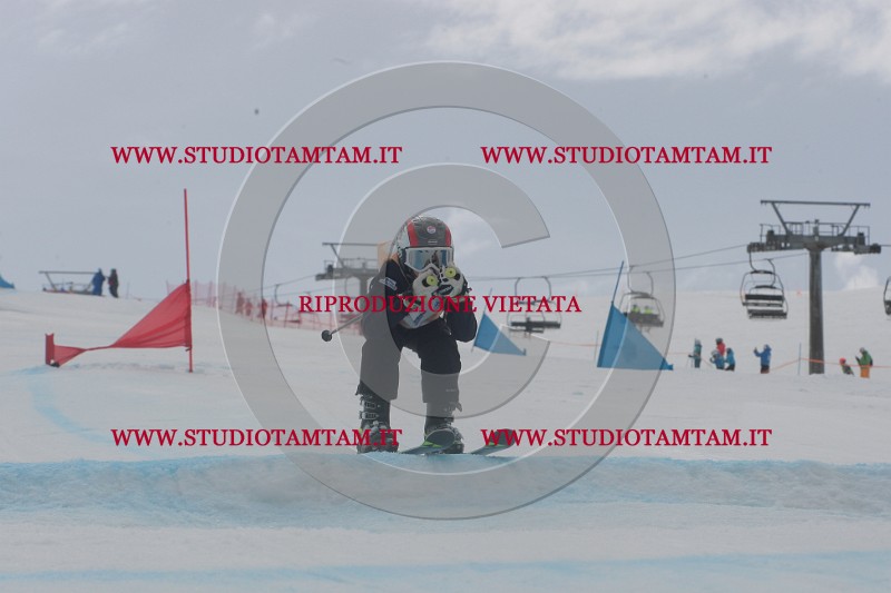 IMGB5413.JPG