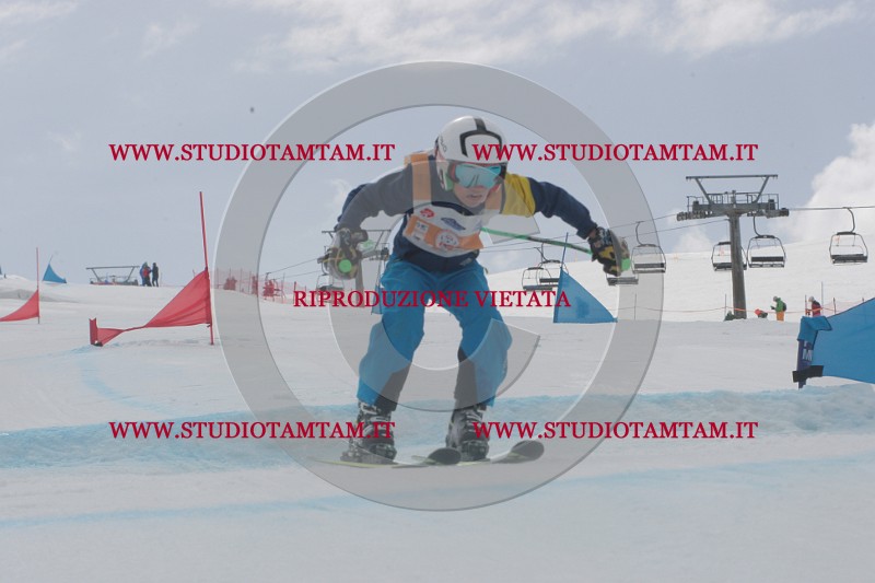 IMGB5447.JPG