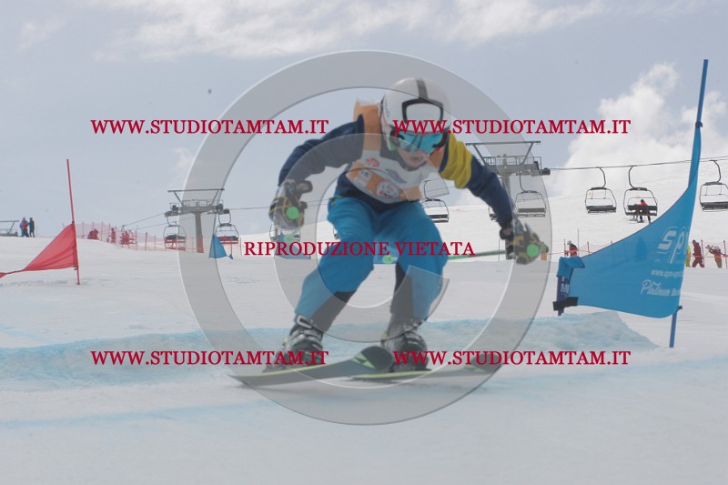 IMGB5448.JPG