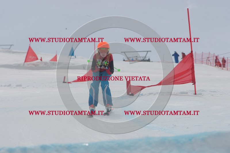 IMGB5475.JPG