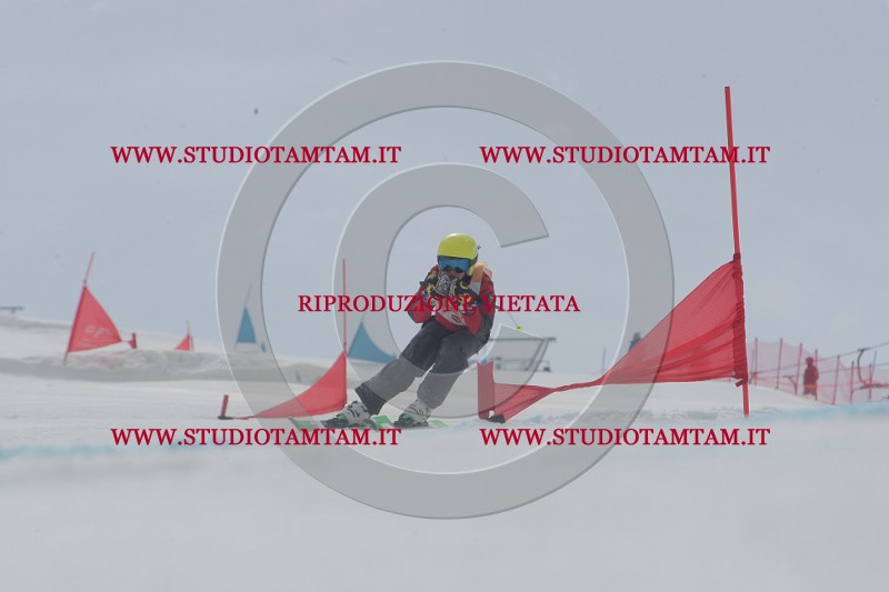 IMGB5485.JPG