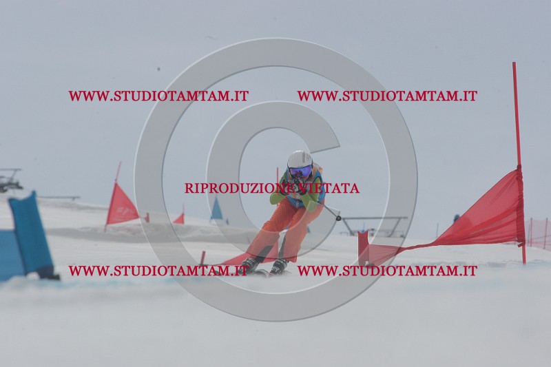 IMGB5498.JPG