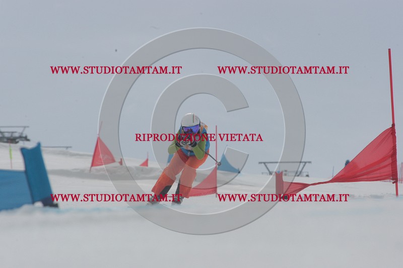 IMGB5499.JPG